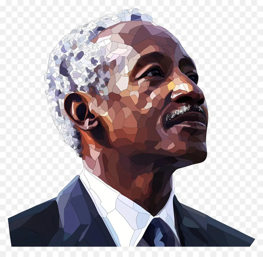 Júlio Nyerere，Arte Poligonal De Homem Idoso PNG