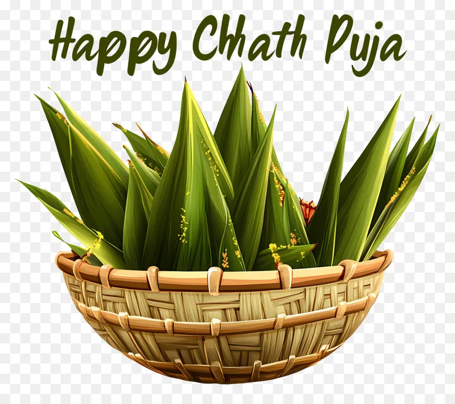 Feliz Chhath Puja，Cesta Com Folhas PNG