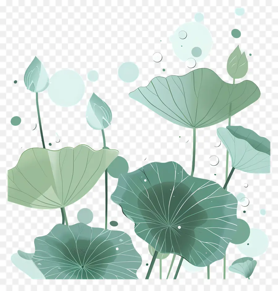 Folhas De Lótus，Folhas E Flores De Lótus PNG