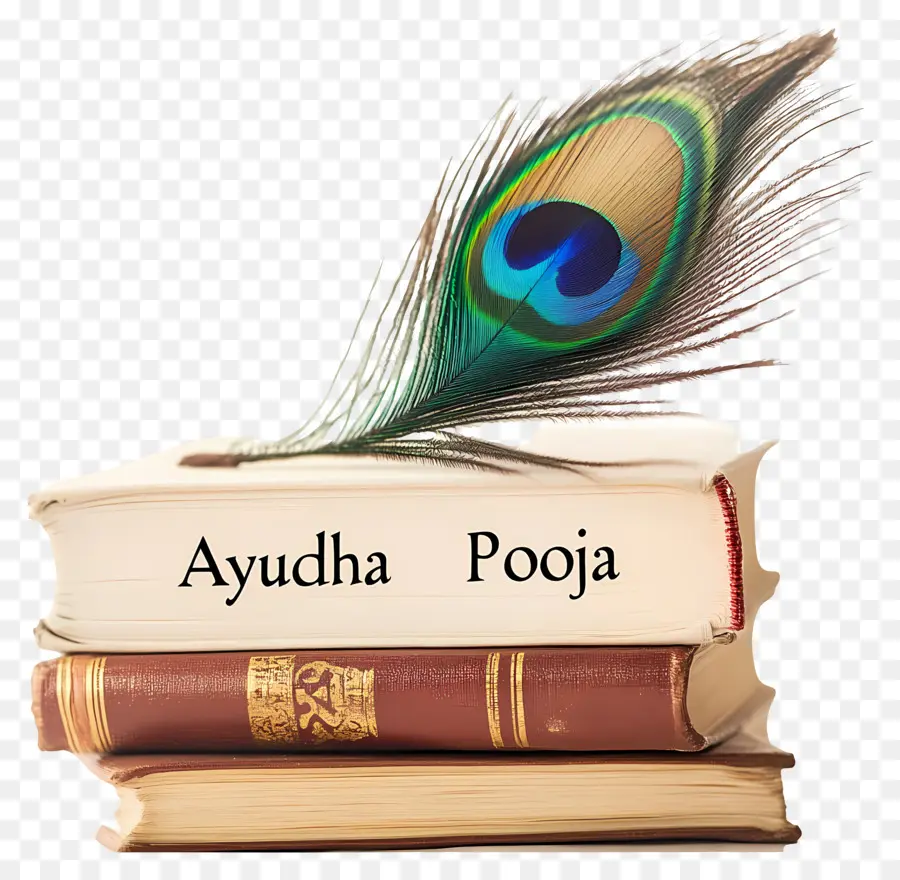 Ayudha Pooja，Livros De Ayudha Pooja PNG