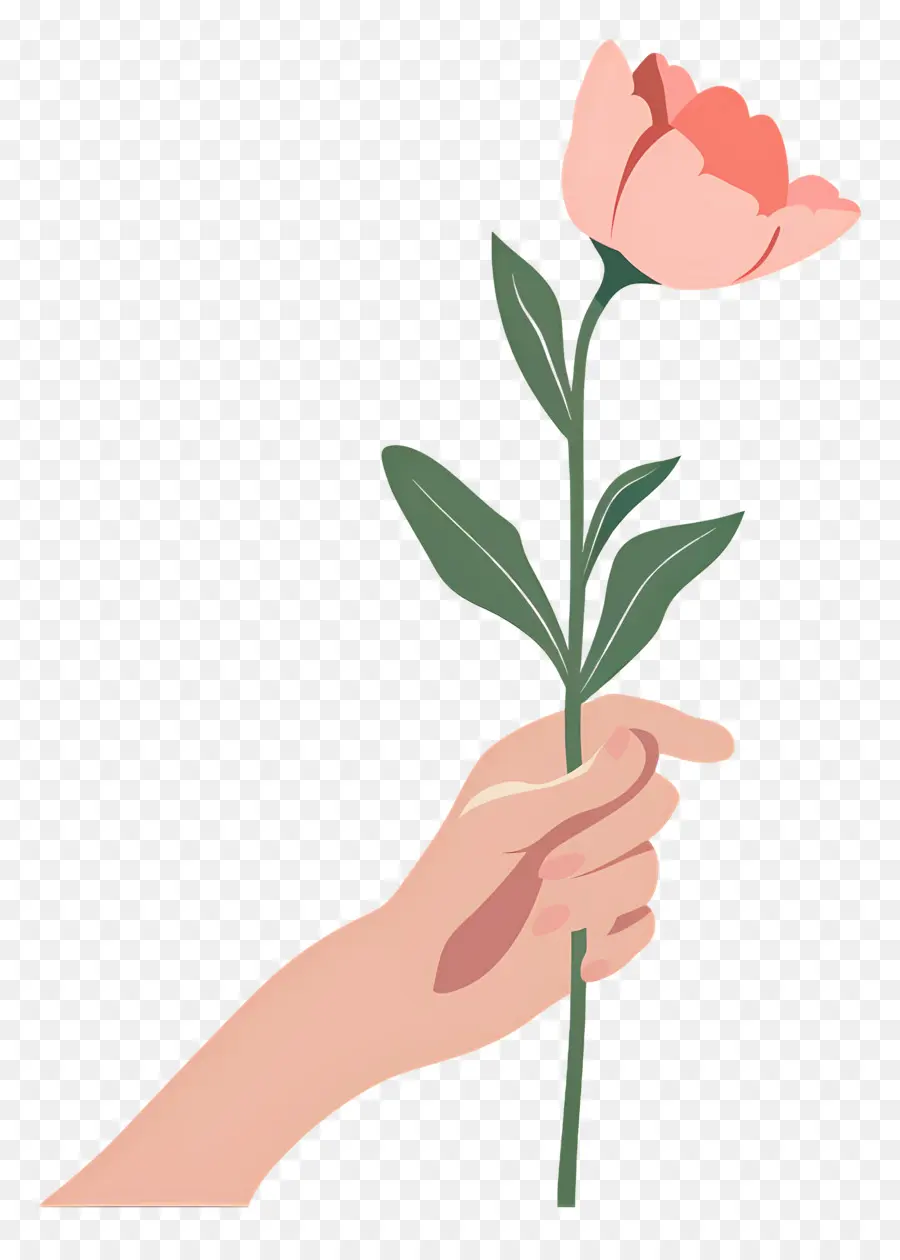 Dia Mundial Da Gentileza，Mão Segurando Uma Tulipa Rosa PNG