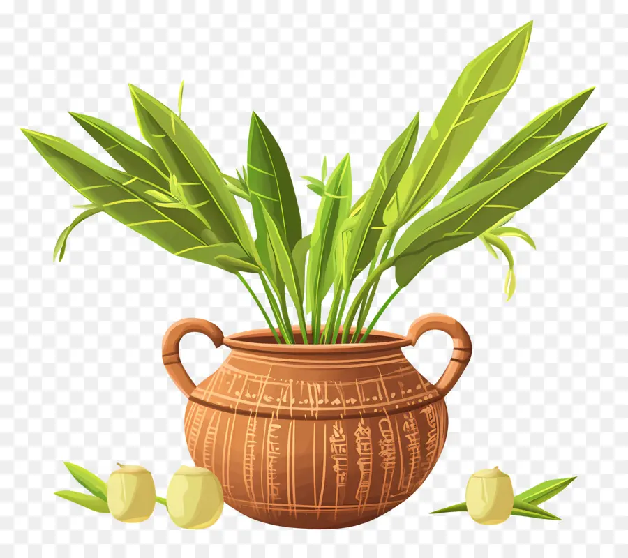 Feliz Pongal，Panela De Barro Com Folhas PNG