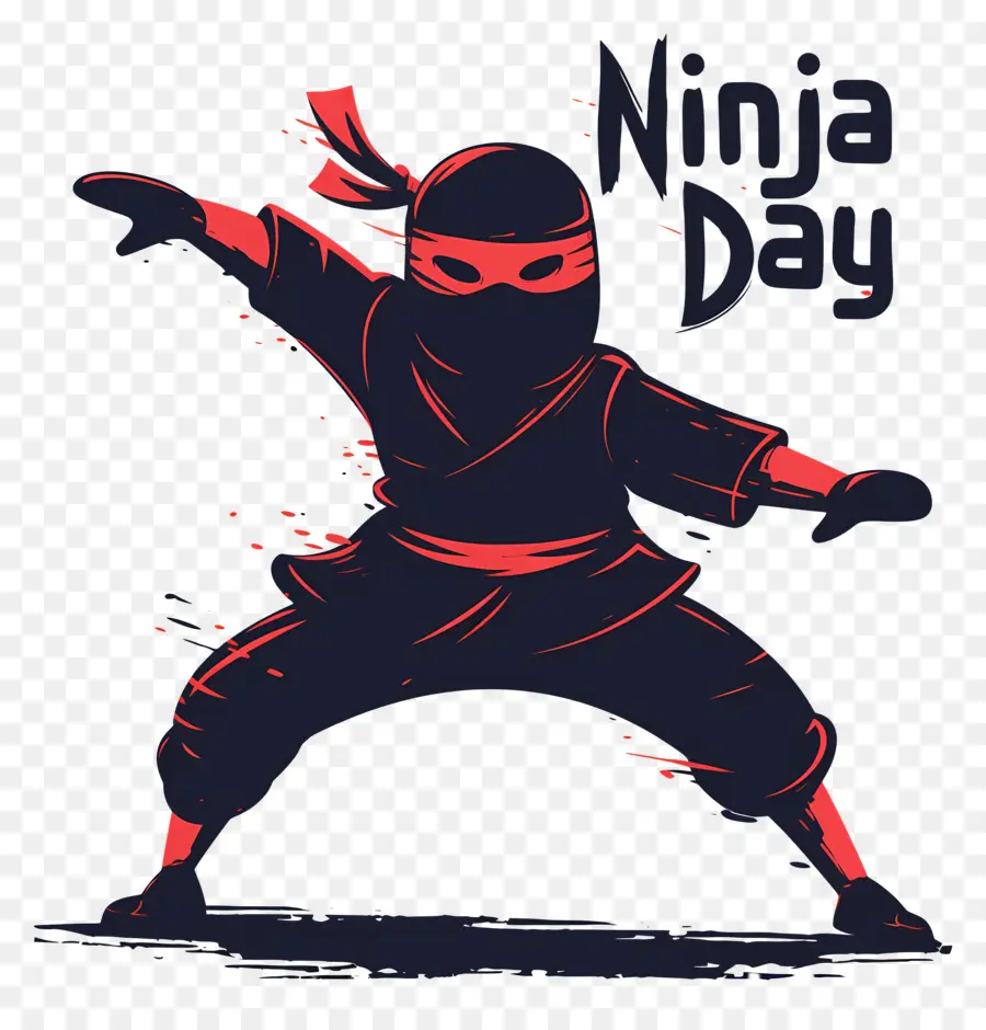 Dia Ninja，Pose Estilizada De Ninja PNG