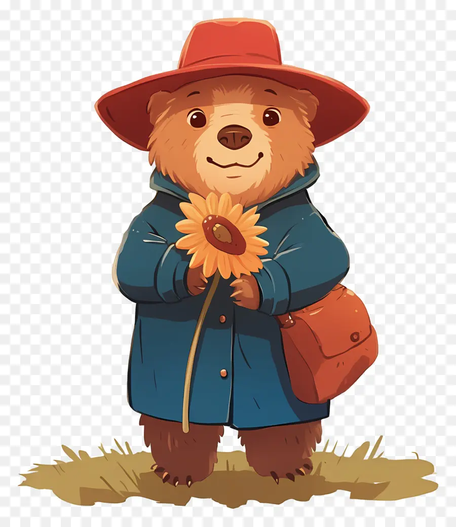 Paddington，Urso Com Girassol PNG