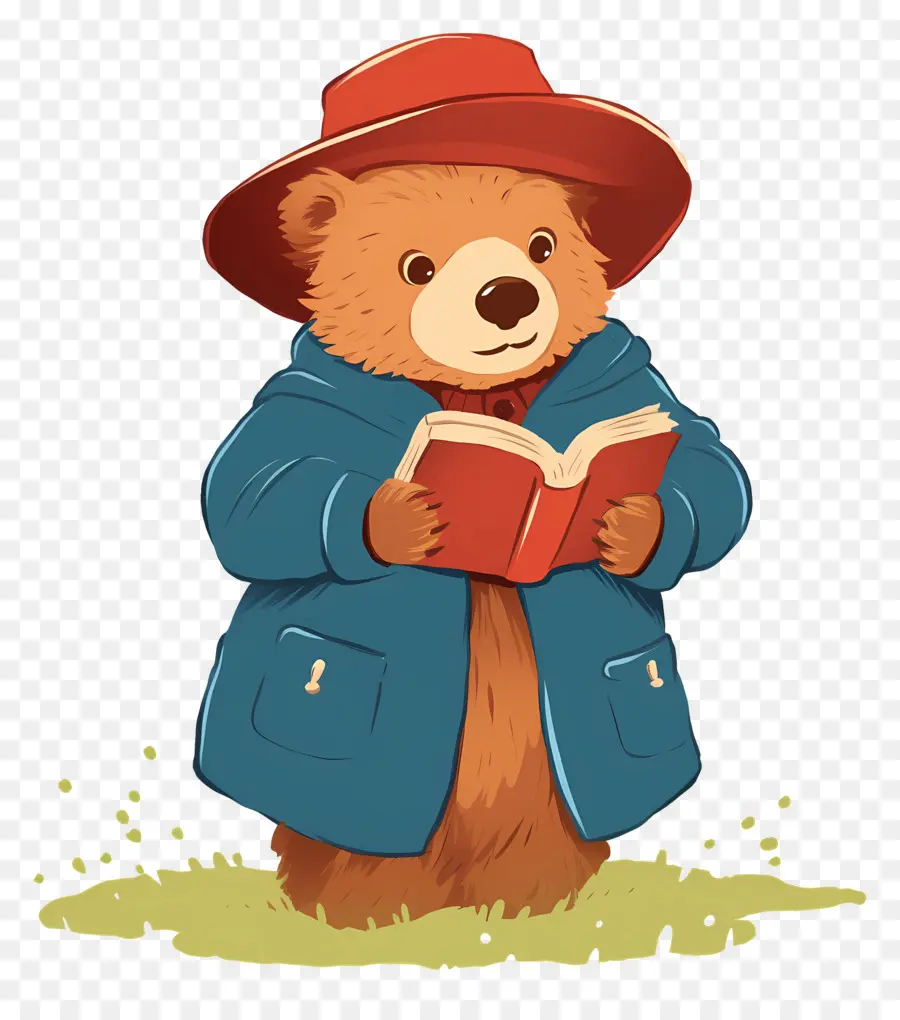 Paddington，Urso Com Livro PNG