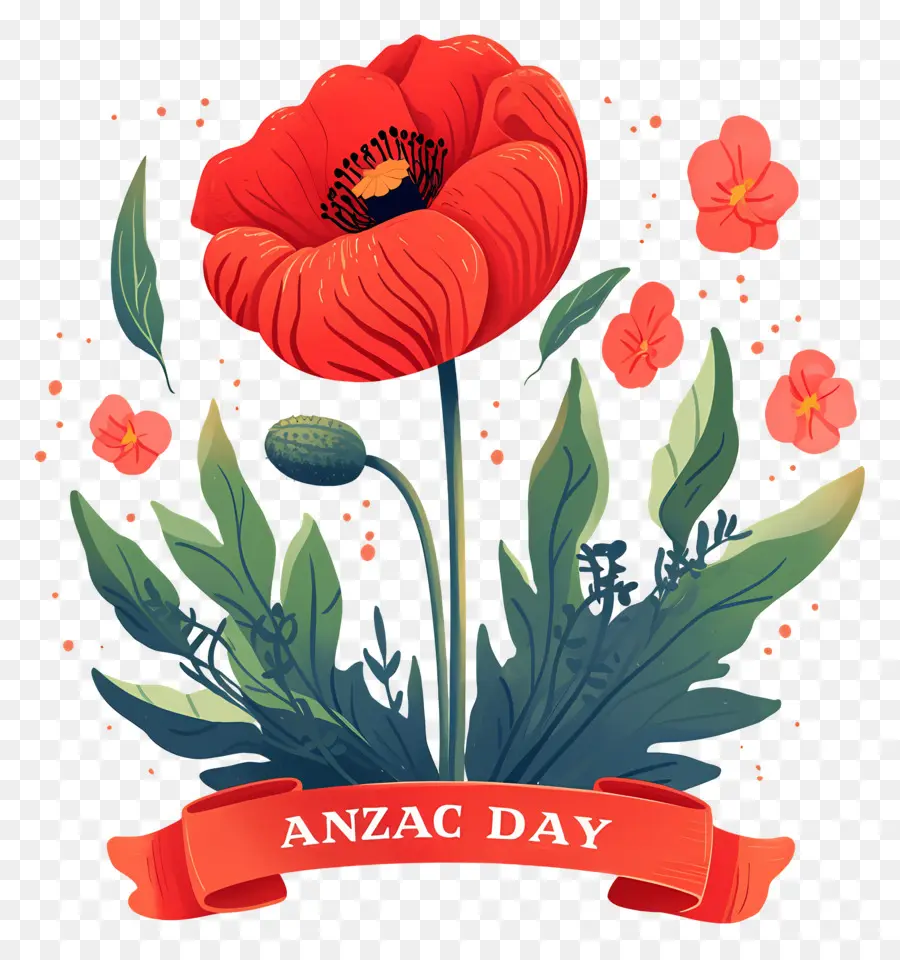 Dia Anzac，Papoilas Do Dia Anzac PNG