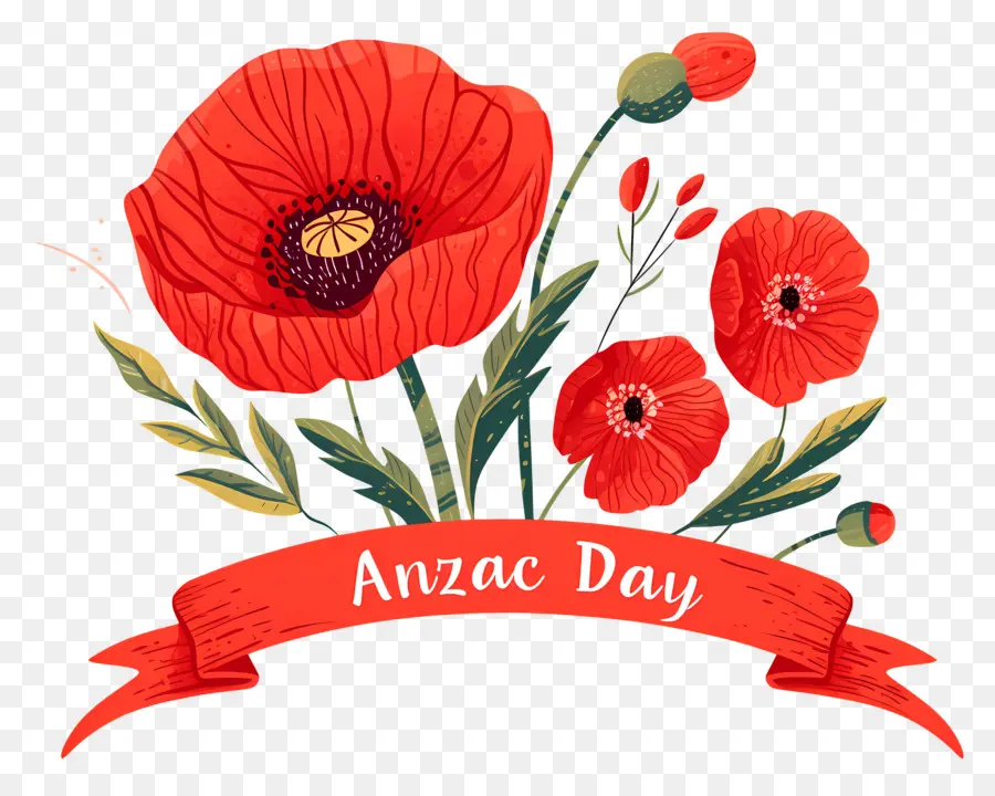 Dia Anzac，Papoilas Do Dia Anzac PNG