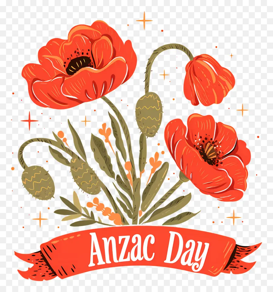 Dia Anzac，Papoilas Vermelhas PNG