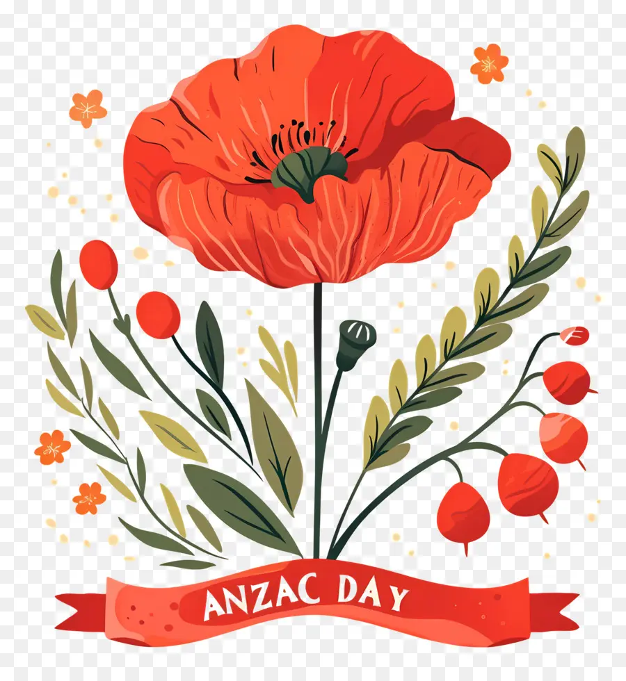 Dia Anzac，Papoilas Do Dia Anzac PNG