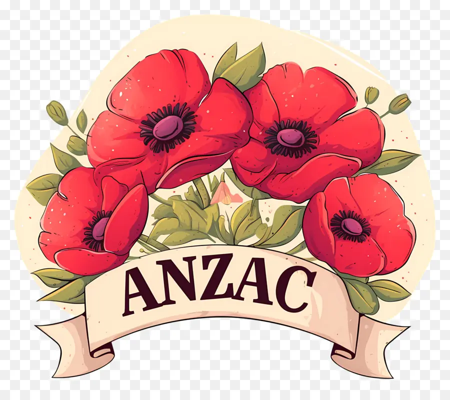 Dia De Anzac，Arranjo De Papoula Anzac PNG