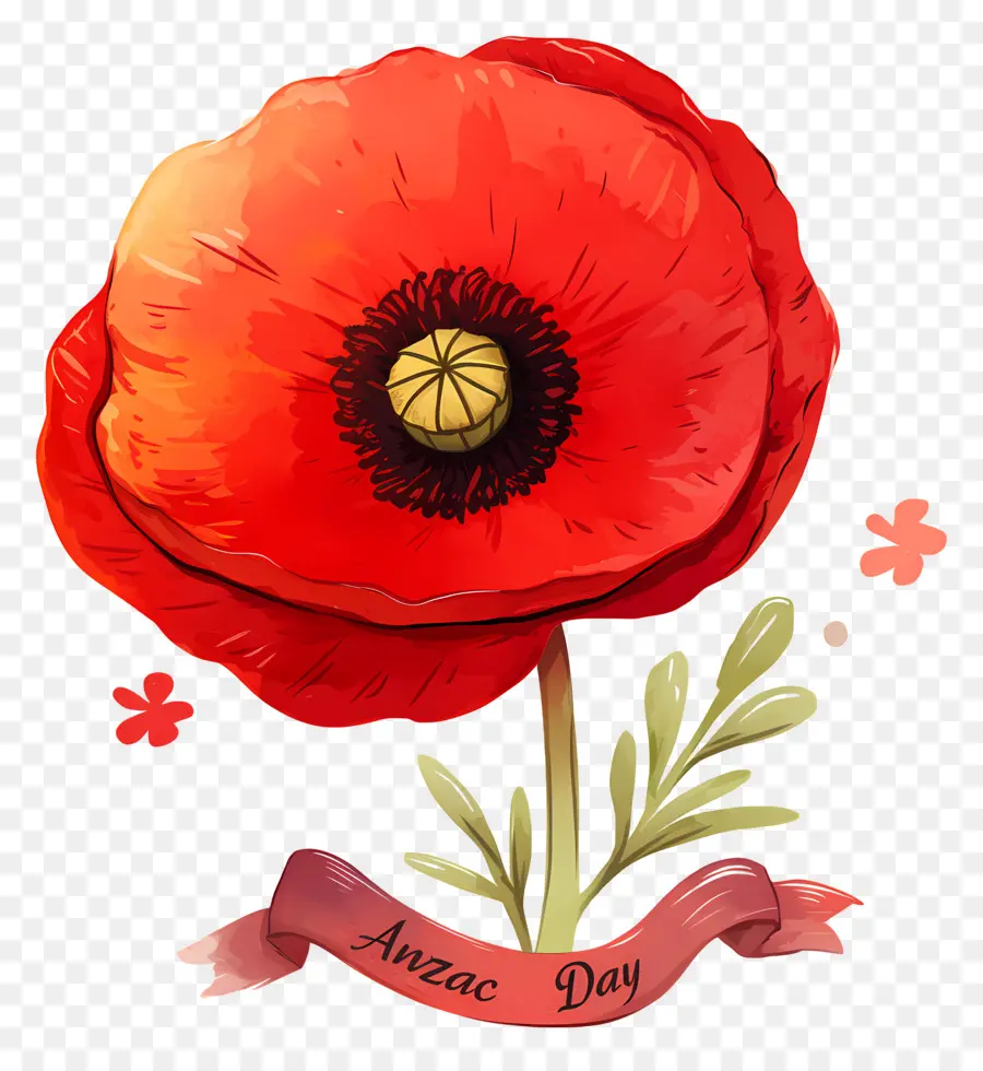 Dia De Anzac，Papoula Vermelha PNG