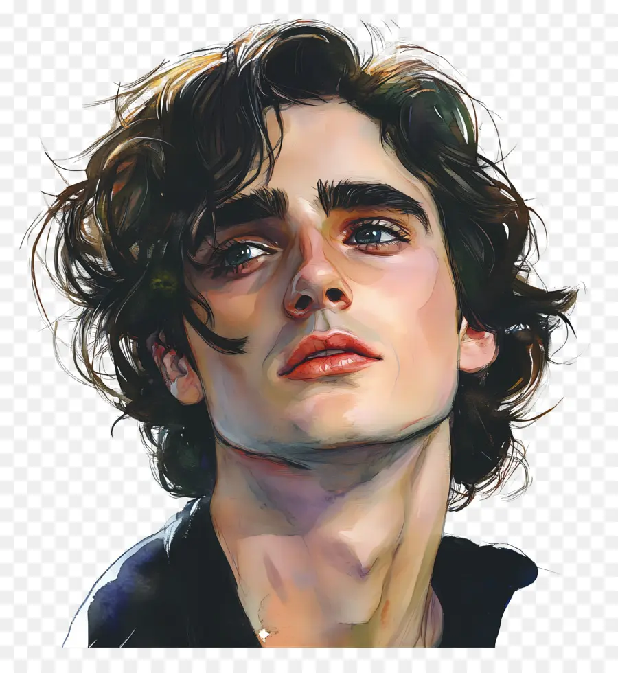 Timótee Chalamet，Retrato Artístico De Jovem PNG