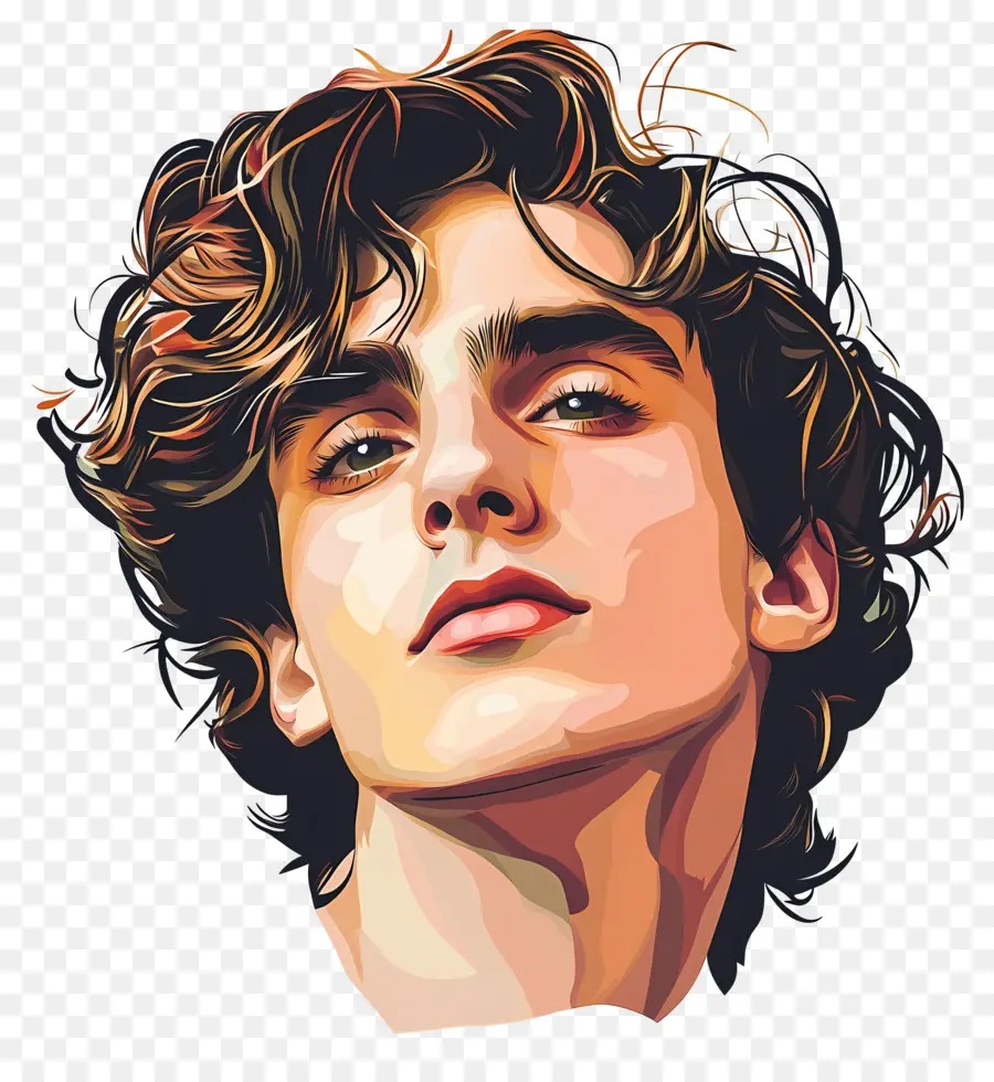 Timótee Chalamet，Retrato Colorido PNG