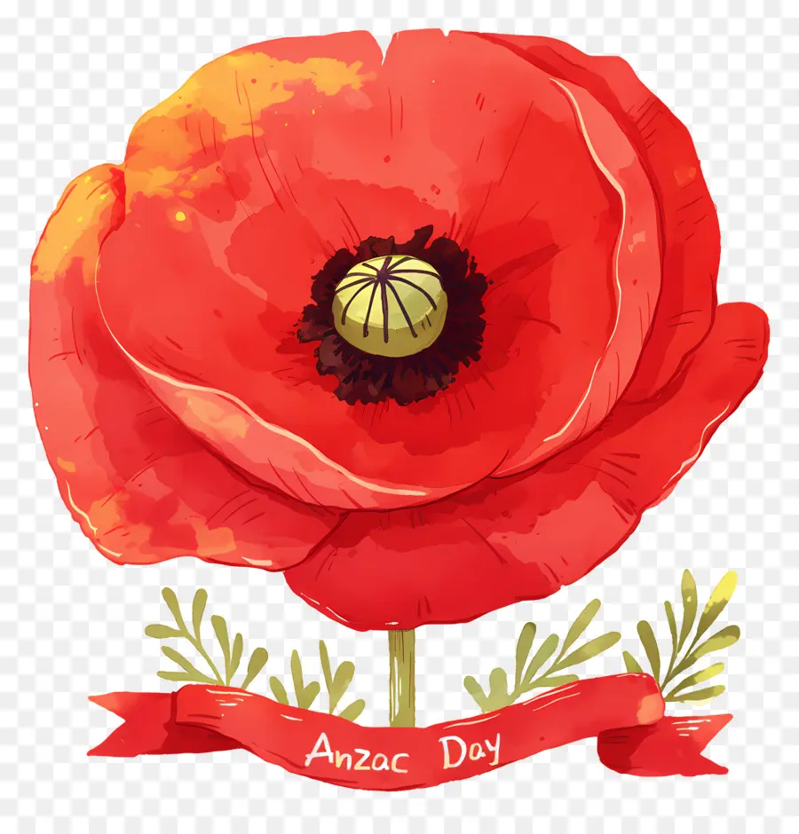 Dia De Anzac，Papoilas Do Dia Anzac PNG