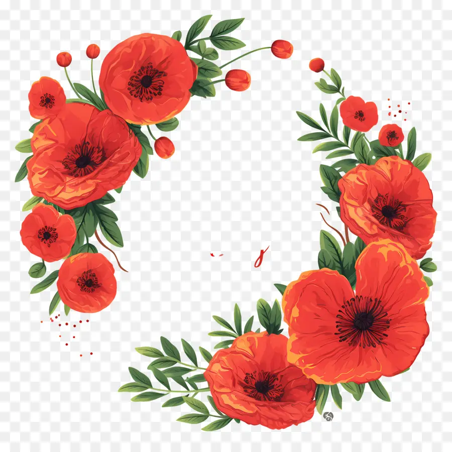 Dia De Anzac，Flores Vermelhas PNG