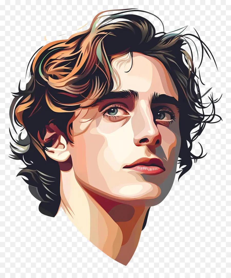 Timótee Chalamet，Retrato Colorido PNG