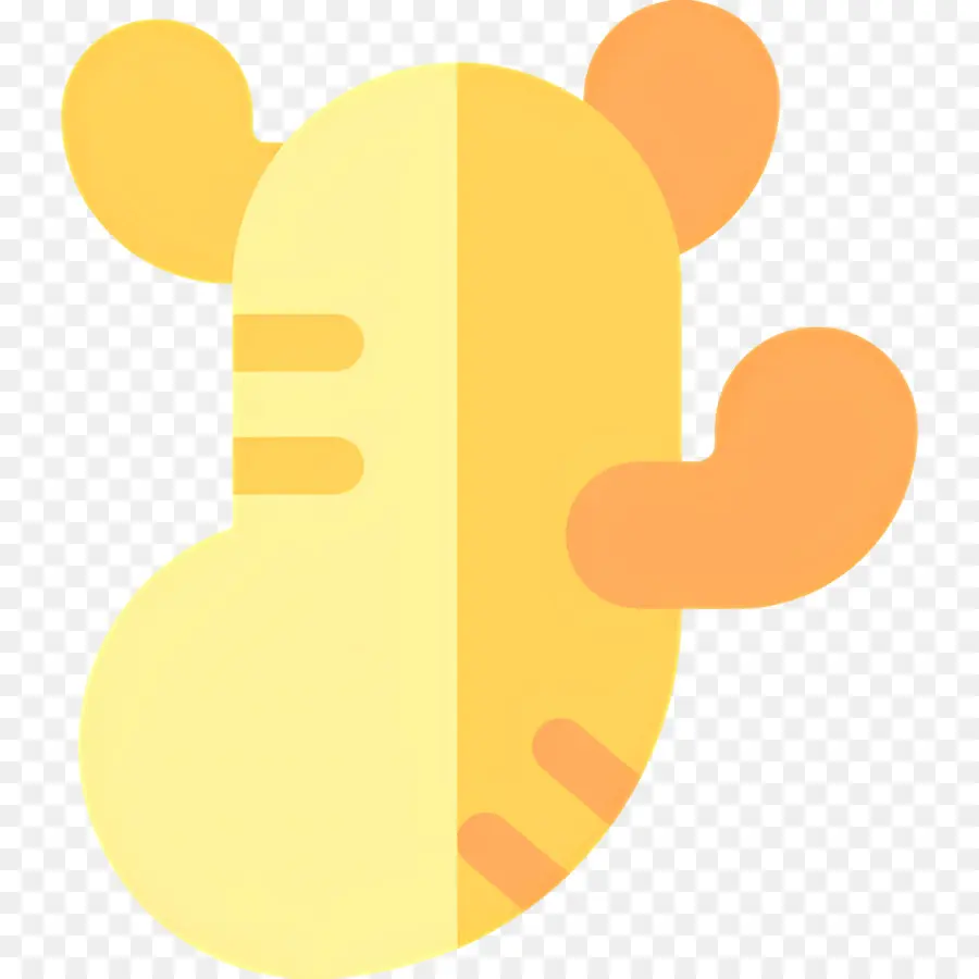 Gengibre Fresco，Gengibre Amarelo PNG