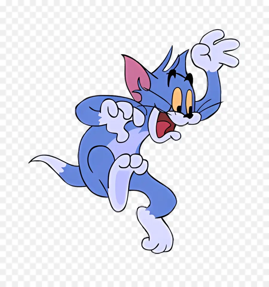 Gato Tom，Gato De Desenho Animado PNG