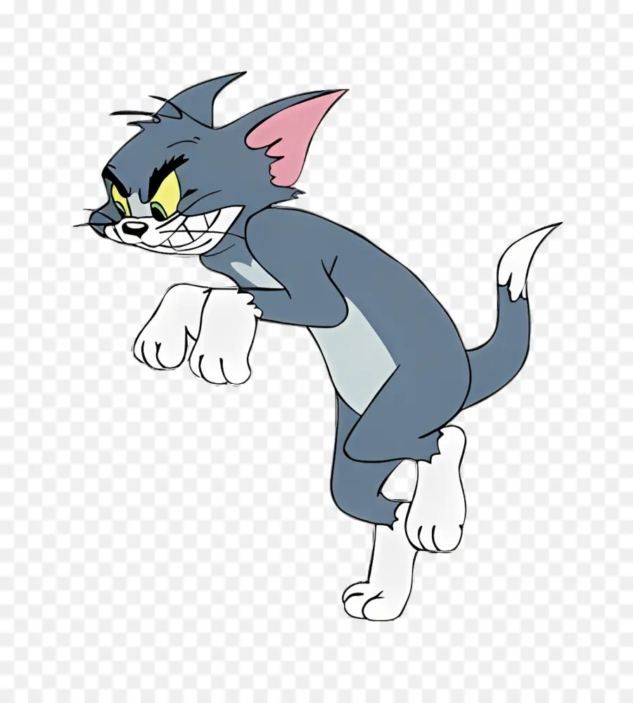 Gato Tom，Tom PNG