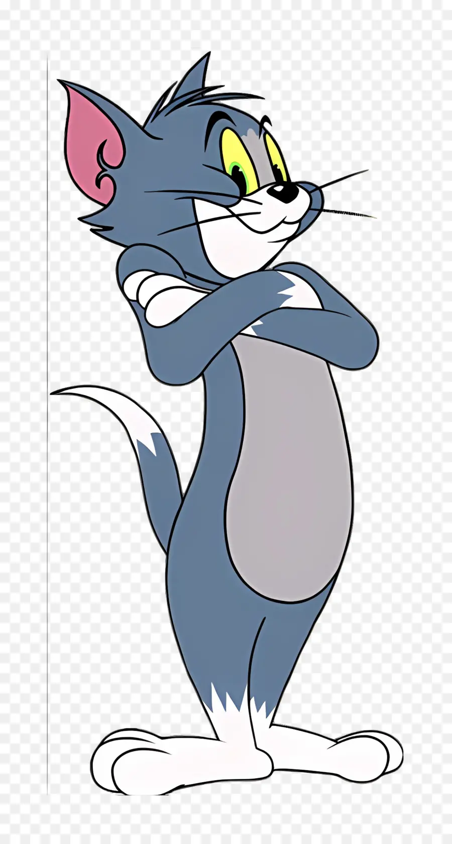 Gato Tom，Tom PNG