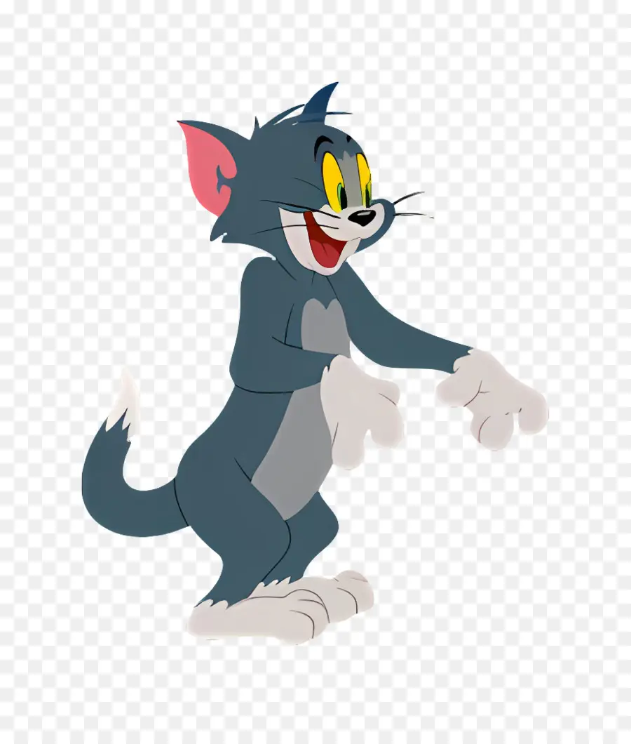 Gato Tom，Tom PNG