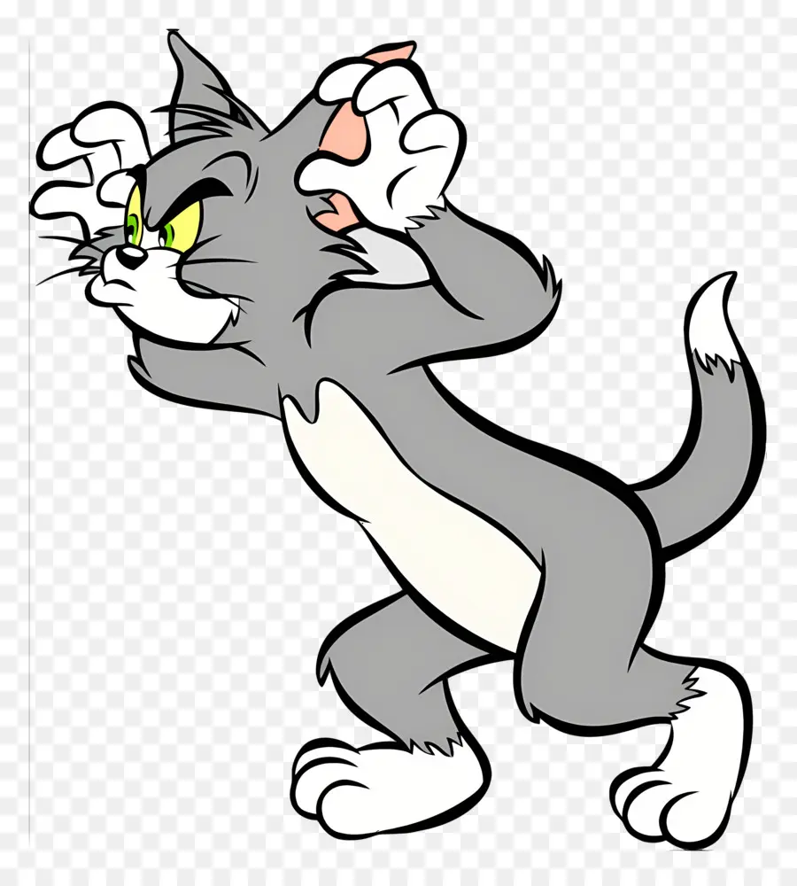 Gato Tom，Gato De Desenho Animado PNG