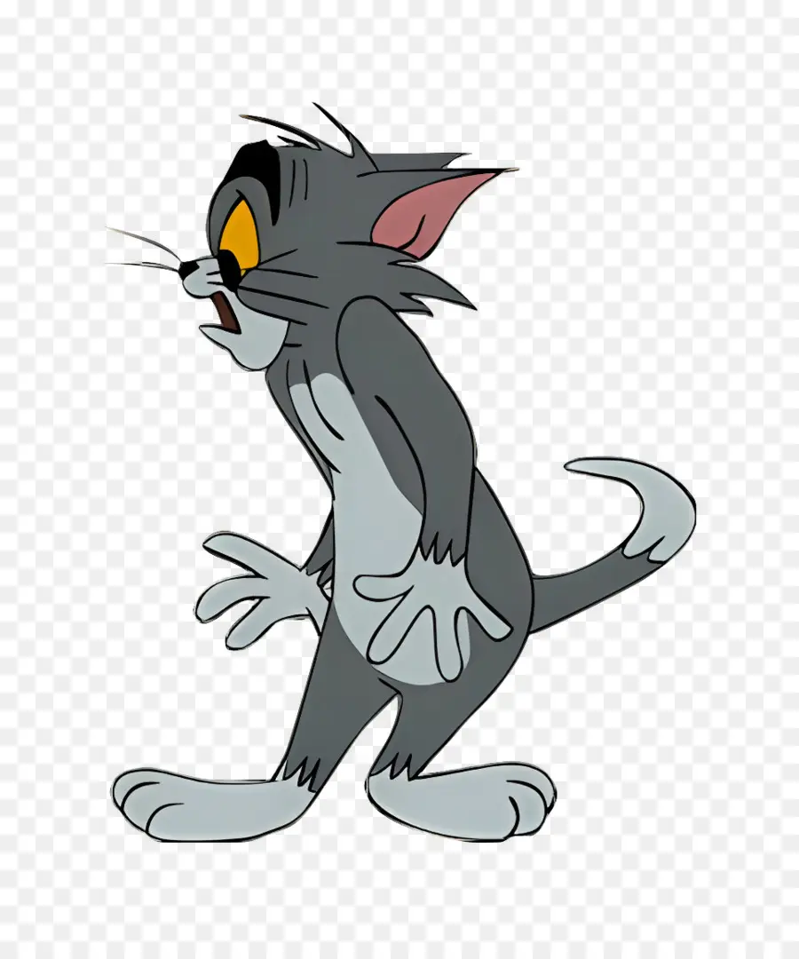 Gato Tom，Gato De Desenho Animado PNG