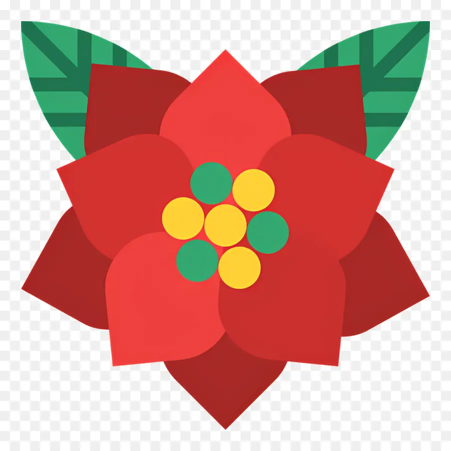 Poinsétia，Flor Vermelha PNG