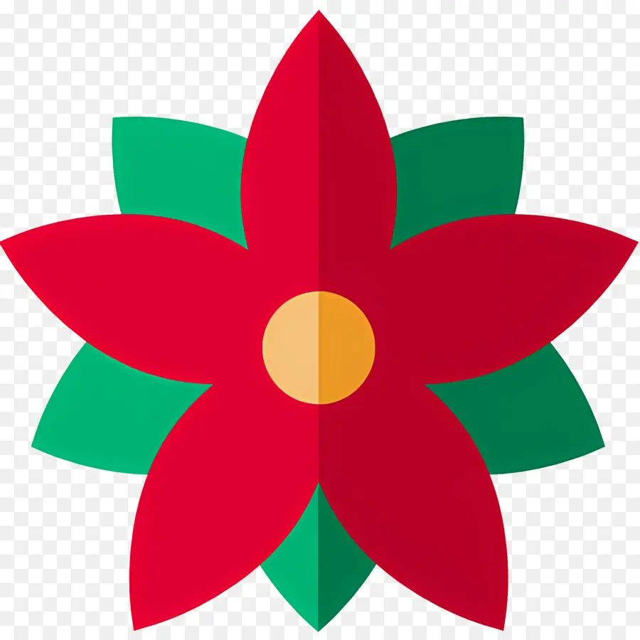 Poinsétia，Flor Vermelha PNG