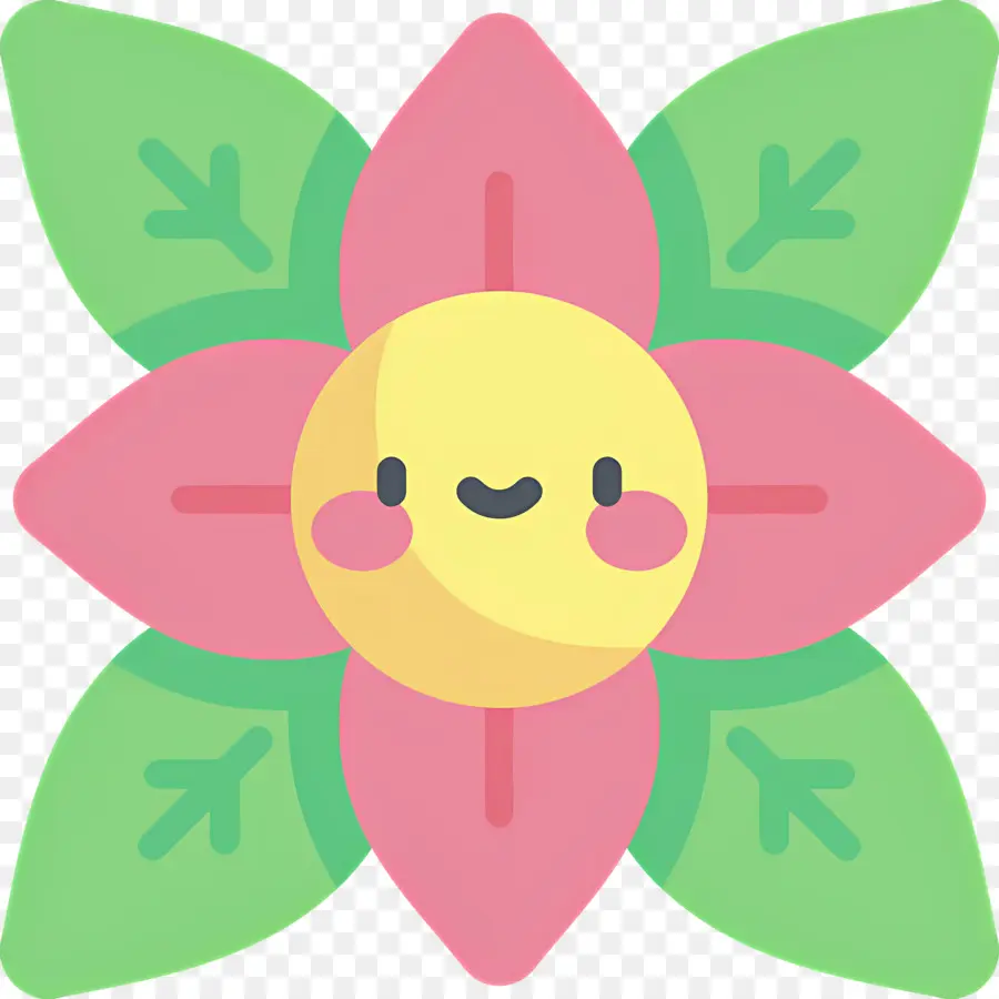 Poinsétia，Flor Sorridente PNG