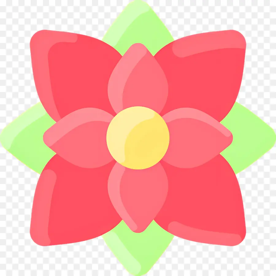 Poinsétia，Flor Vermelha PNG