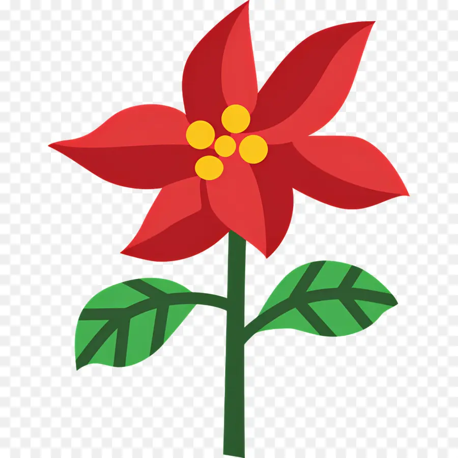 Poinsétia，Flor De Desenho Animado PNG