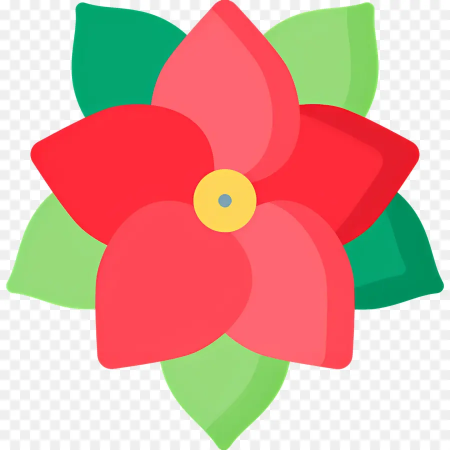 Poinsétia，Flor Vermelha PNG