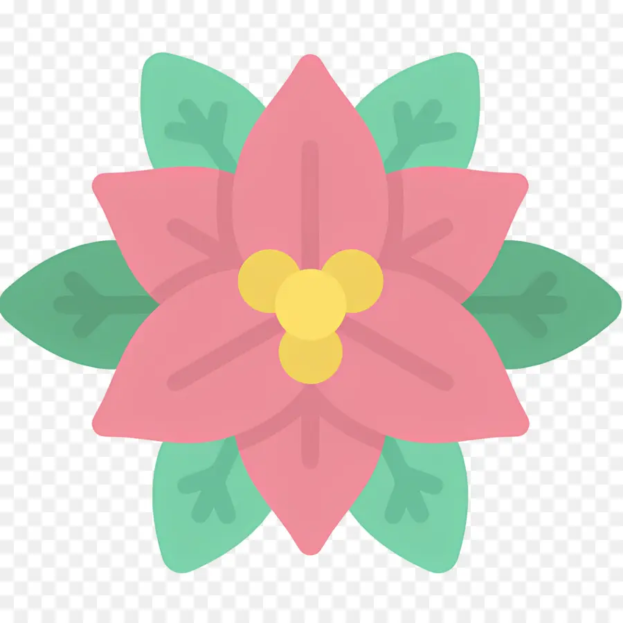 Poinsétia，Flor Vermelha PNG