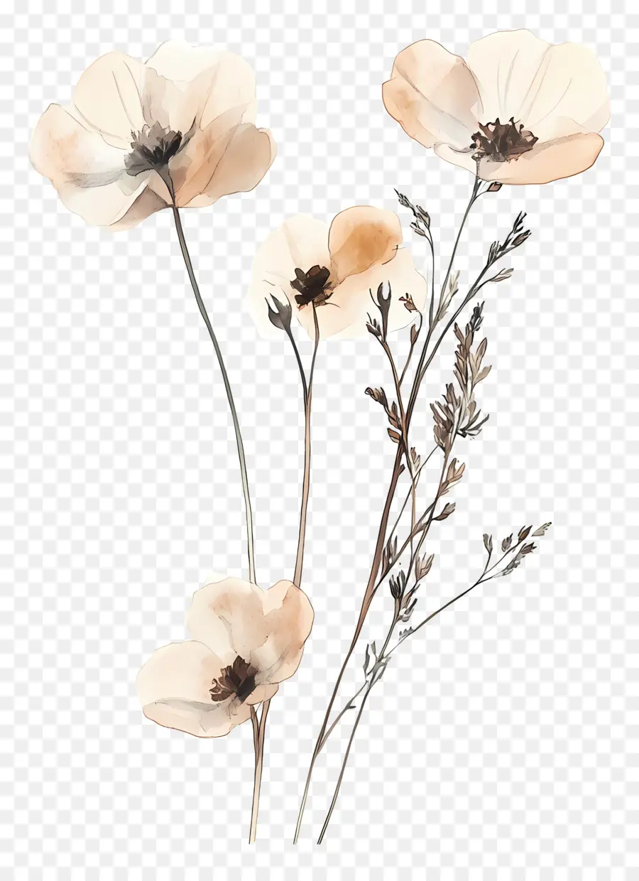 Arte Com Flores Secas，Flores Em Aquarela PNG