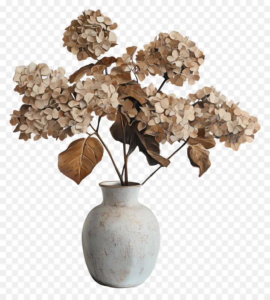 Hortênsias Secas，Hortênsia Seca Em Vaso PNG