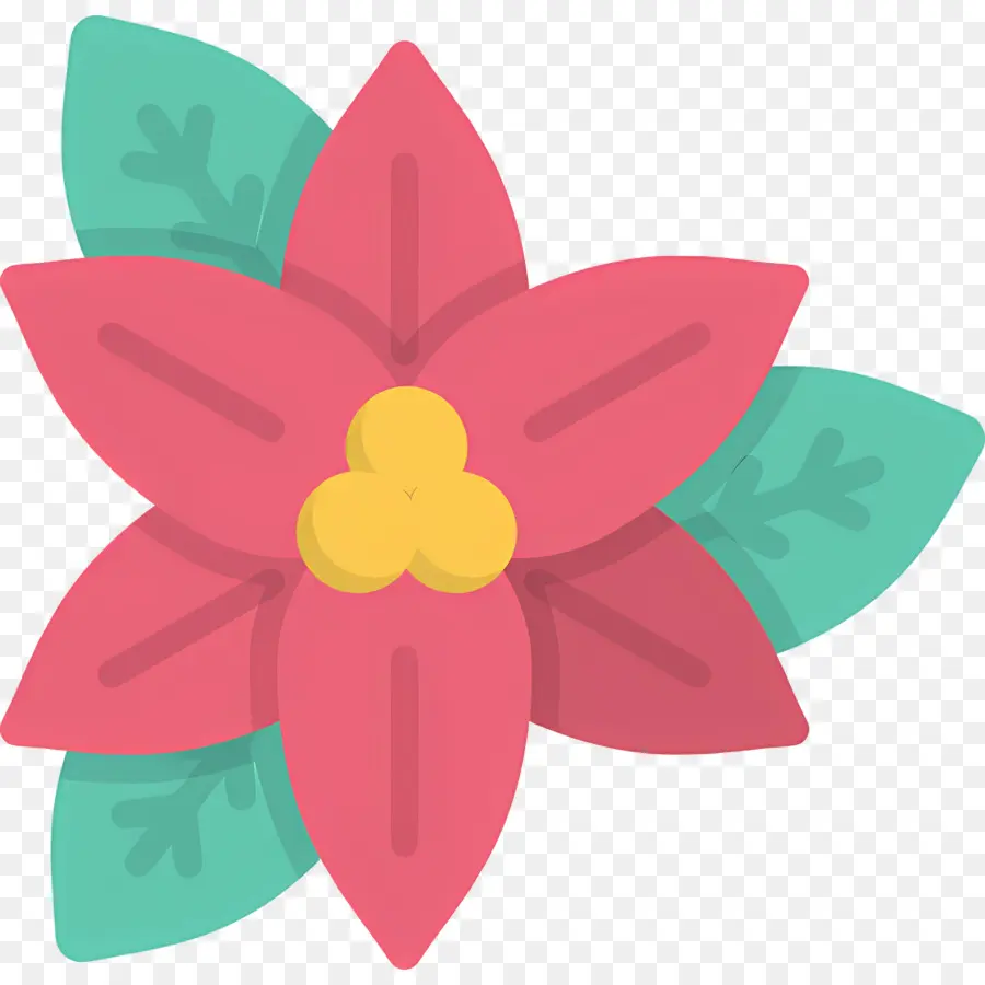 Poinsétia，Flor Vermelha PNG