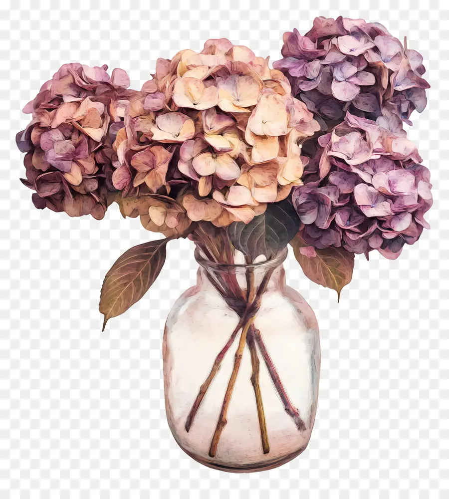 Hortênsias Secas，Hortênsias Em Vaso PNG