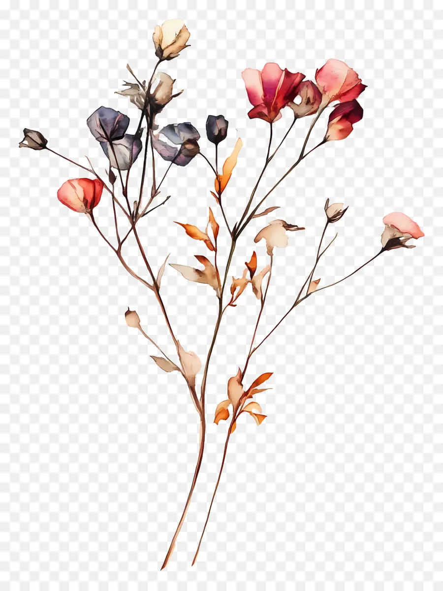 Arte Com Flores Secas，Flores Secas Coloridas PNG