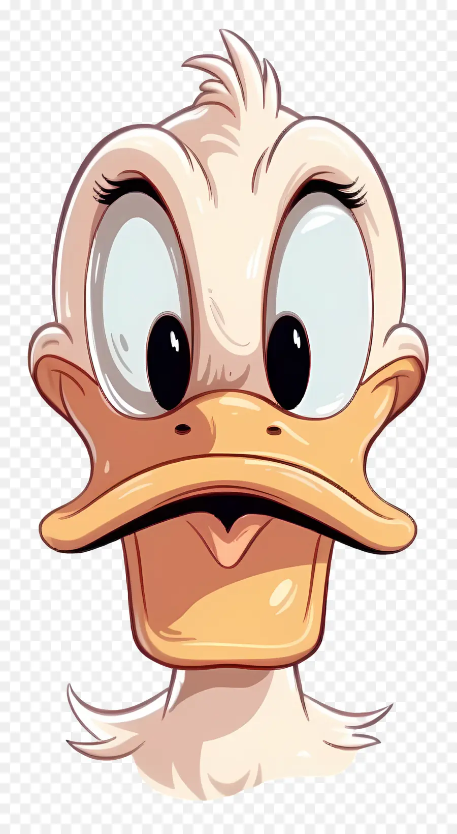 Pato Donald，Cara De Pato PNG