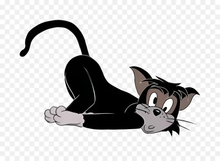 Gato Butch，Gato Preto PNG