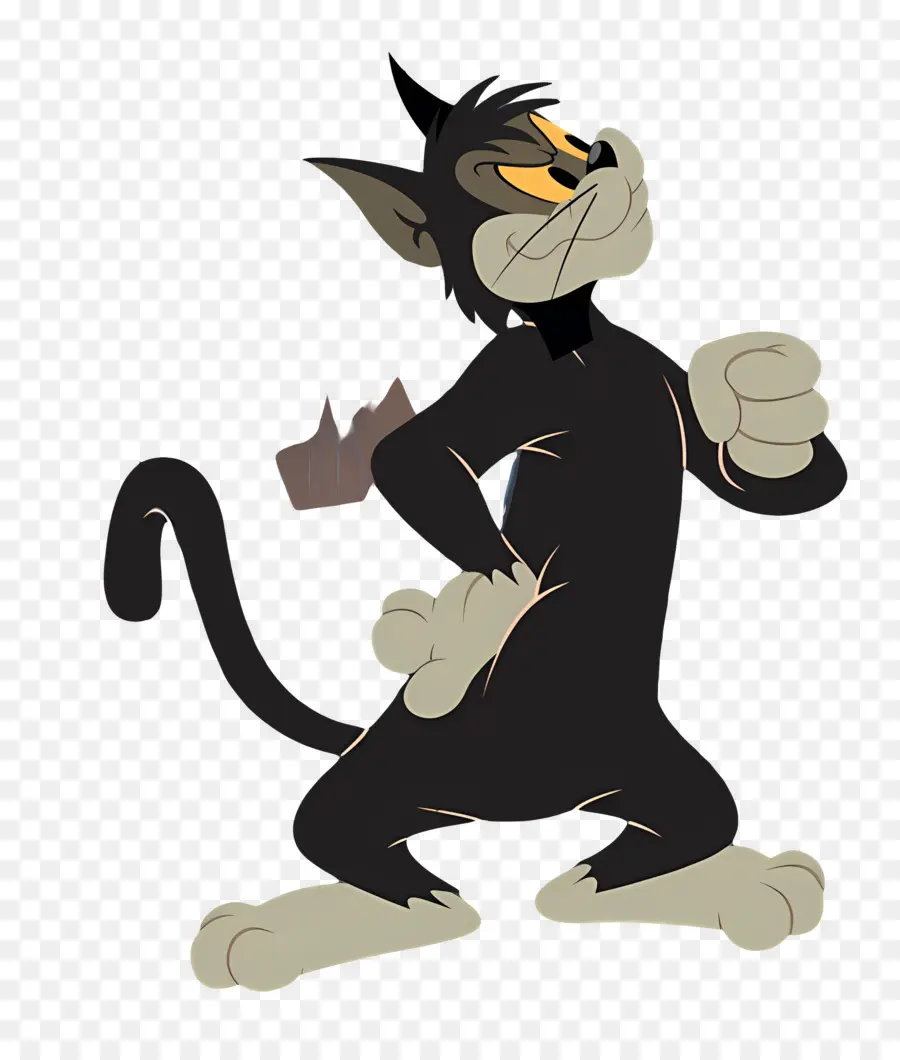 Gato Butch，Gato Preto PNG