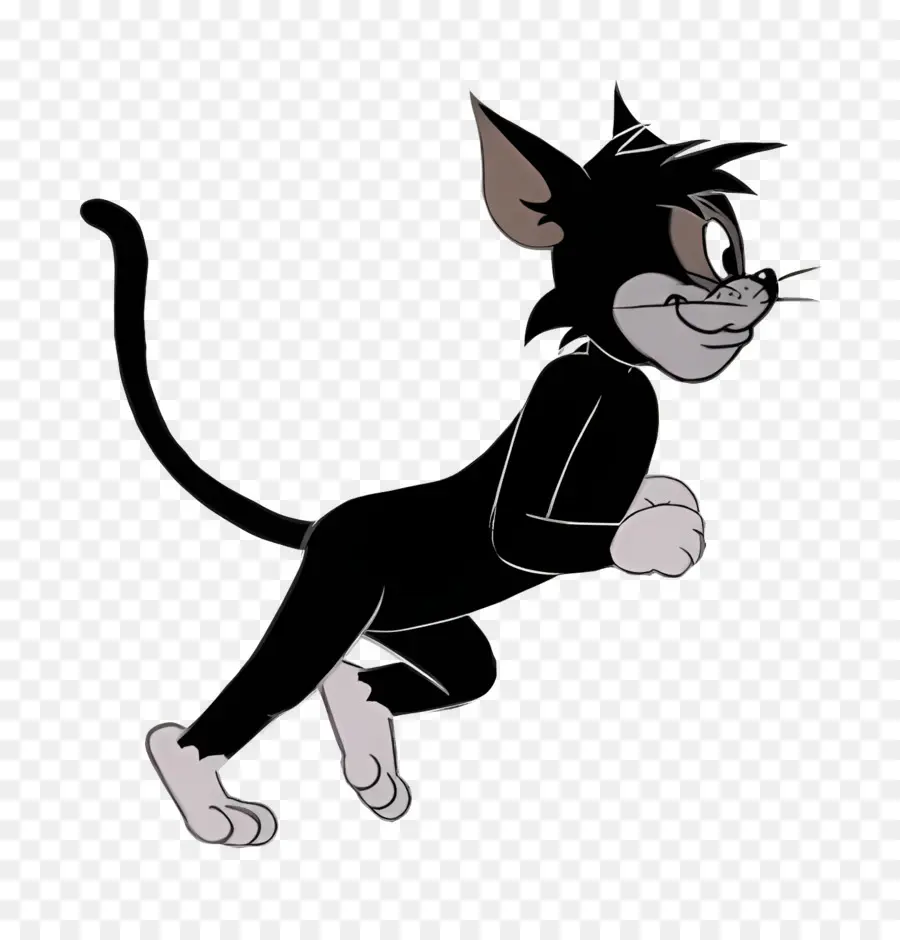 Gato Butch，Gato Preto PNG