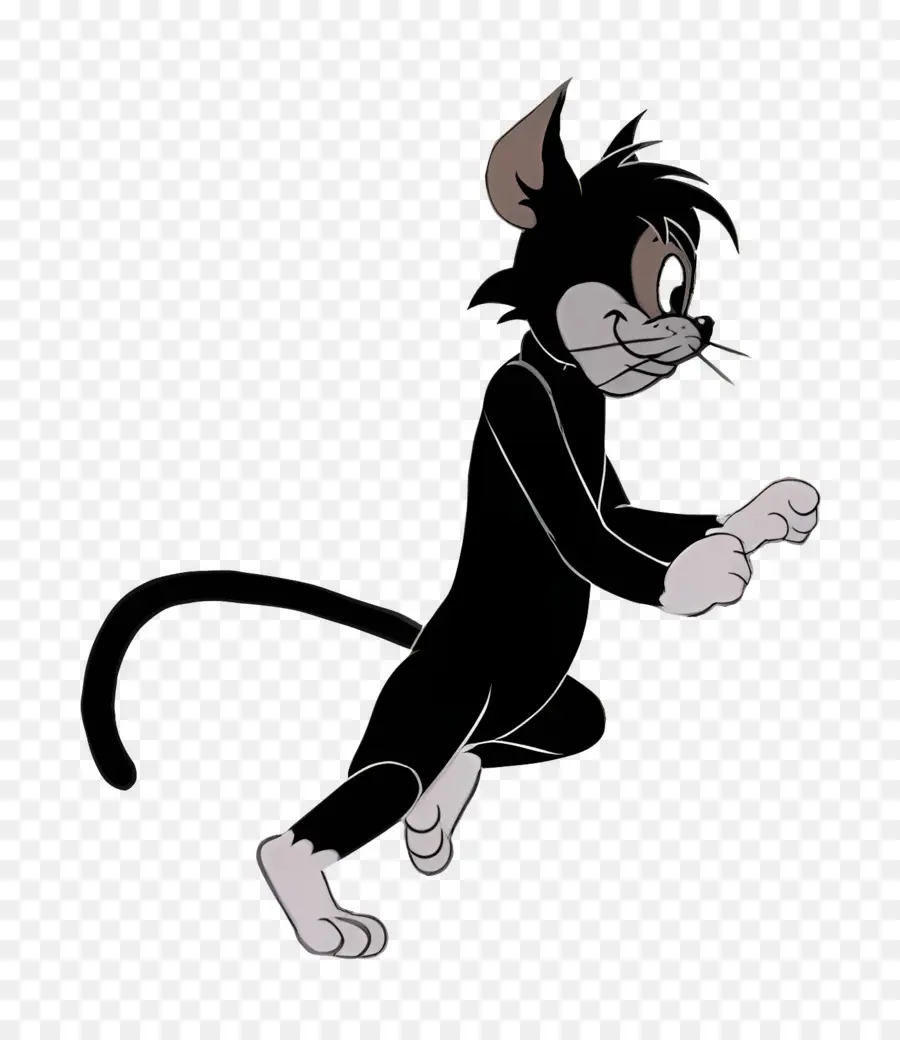 Gato Butch，Gato Preto PNG