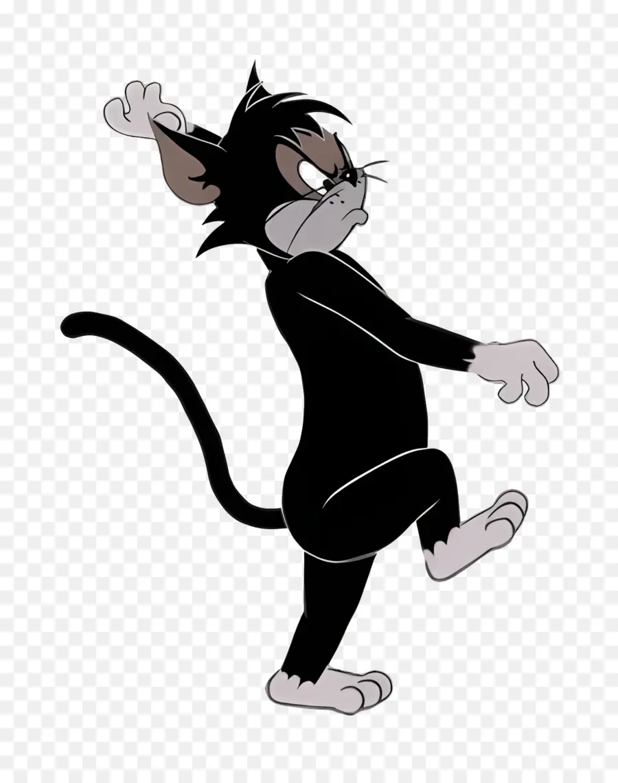 Gato Butch，Gato Surpreso PNG