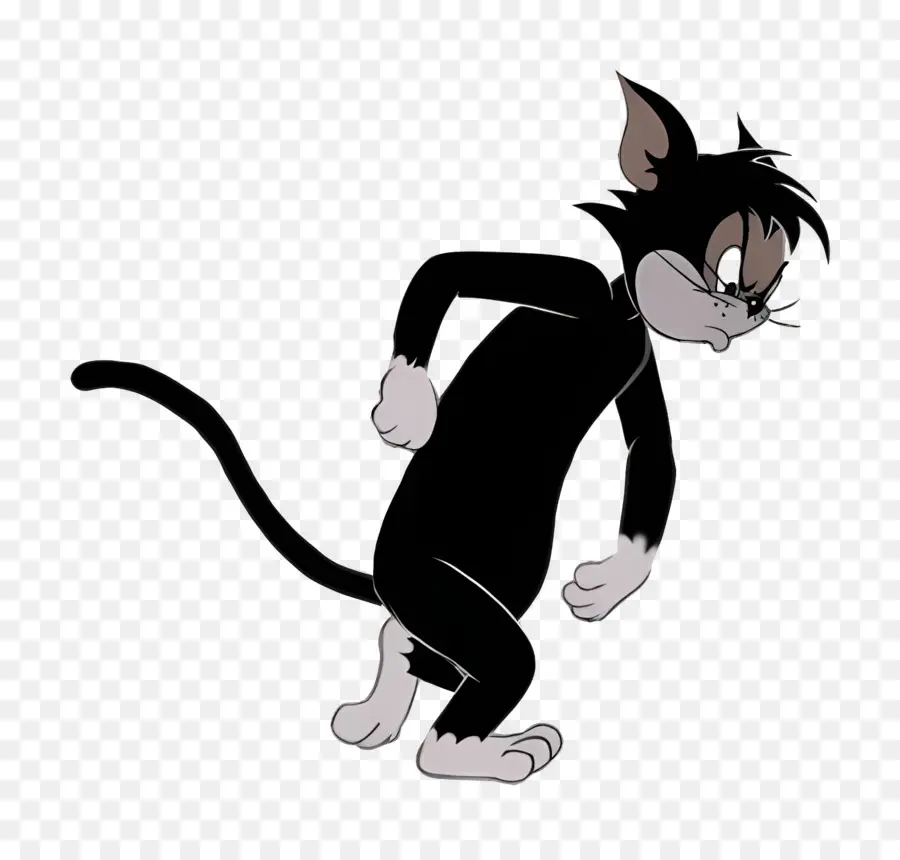 Gato Butch，Gato Preto PNG