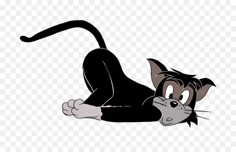 Gato Butch，Gato Preto PNG