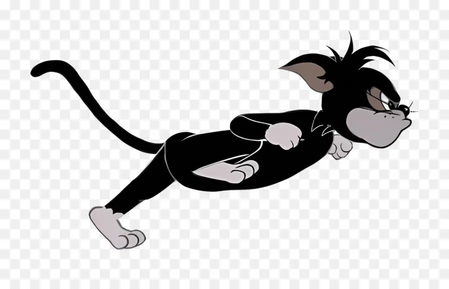 Gato Butch，Gato Preto PNG