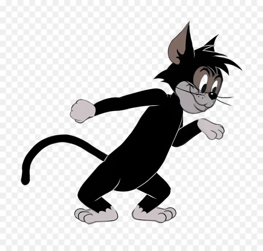 Gato Butch，Gato Preto PNG