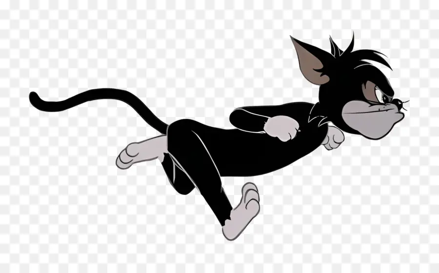 Gato Butch，Gato Preto PNG